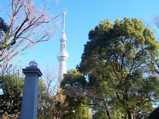 Sky Tree von "hinten" vom Flussufer aus.