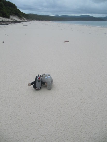 Meine Maskottchen am Whitehaven Beach.