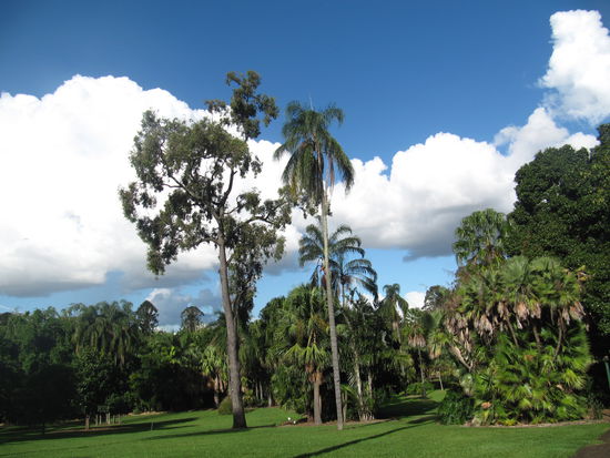 im Botanischen Garten