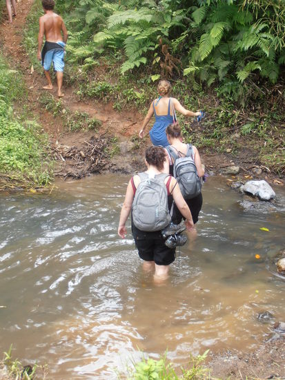 Ebenso unvergesslich wird diese Wanderung durch den Urwald Fijis bleiben.