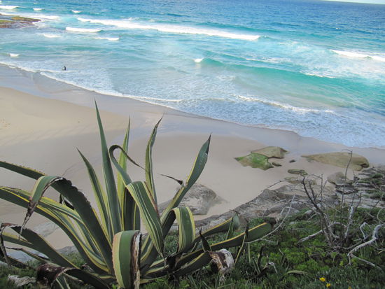 Tamarama Beach