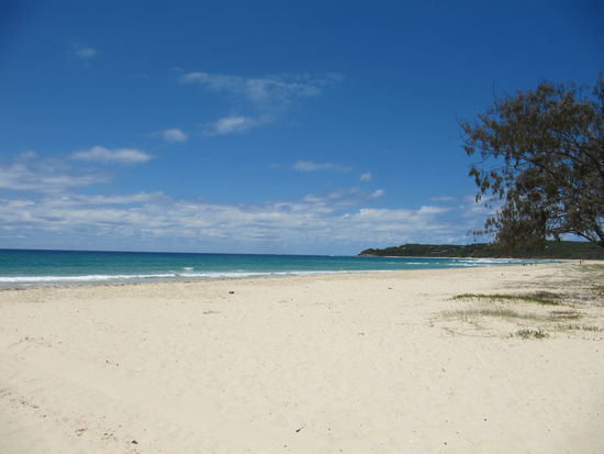 Der Home Beach, direkt an der YHA! Was will man mehr bei mehr als 30 Grad? Naja, vielleicht nen Sonnenschirm...