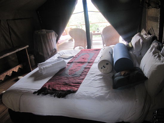 Dieses Zelt dann von innen. Hier kann man bestimmt schön romanteliche Nächte haben 