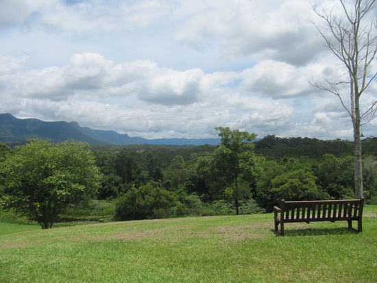 Blick zu den Border Ranges
