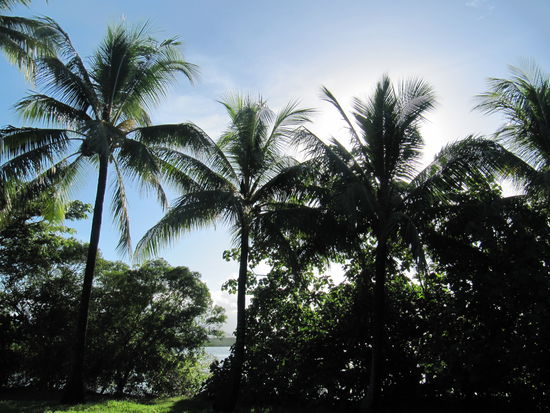 Bei diesem Anblick kann ja nur Urlaubsfeeling aufkommen!