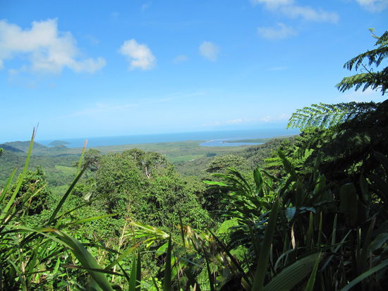 Alexandria Lookout. Diese Landschaft ist der Hammer!
