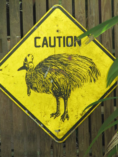 Allgegenwärtiges Verkehrsschild, aber leider haben wir keinen Kasuar zu Gesicht bekommen.