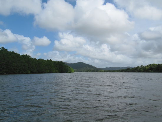 Der Daintree River