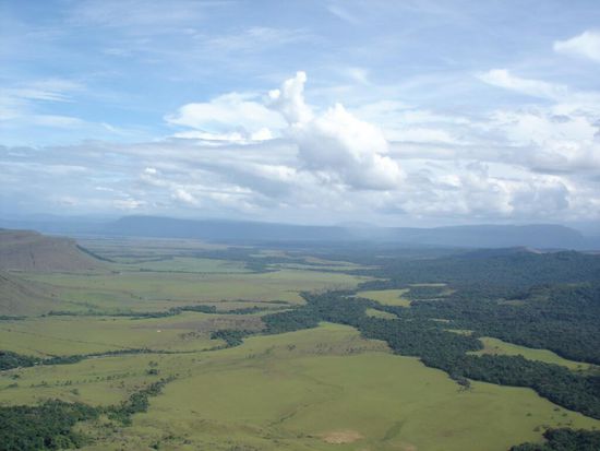 Da sind die Fische heute langgelaufen