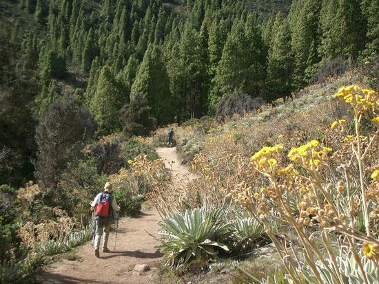 Eine Bergwanderung im Nationalpark Sierra Nevada dient der Höhenanpassung