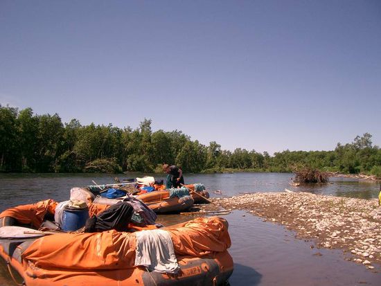 Rast an einer Sandbank