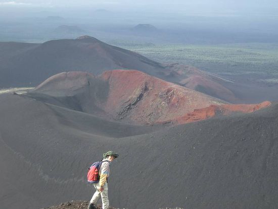 Fisch-Woman zieht ihre Bahn in der Einöde