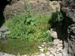 Teich in der Masca-Schlaucht