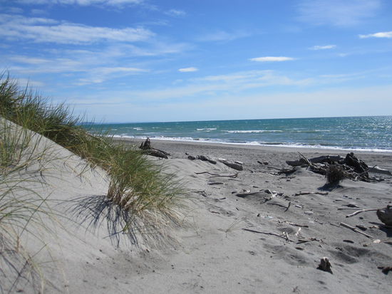 Beach in der Nähe vom Lake Mahinapua