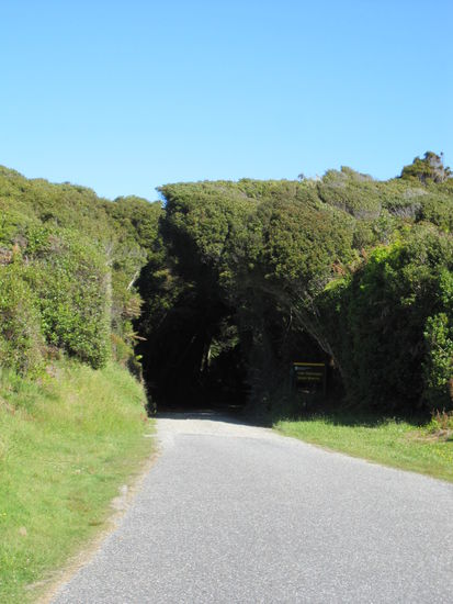 Ja genau, hier geht`s rein zum Campsite Mahinapua