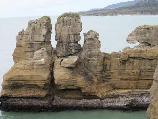 Pancake Rocks - sehen Sie irgendwelche Tiere auf dem Bild?