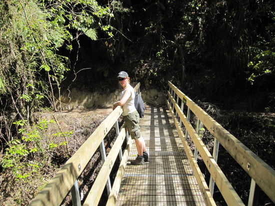 Abenteuerliche, aber sehr gut ausgestattete Wanderwege im Abel Tasman Park