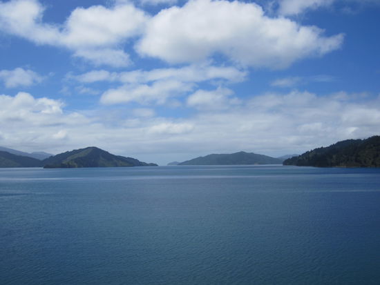 Marlborough Sounds Richtung Picton