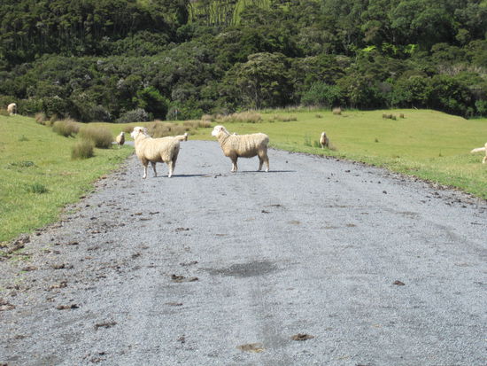 Auch wenn es nicht so aussieht, hier geht`s weiter