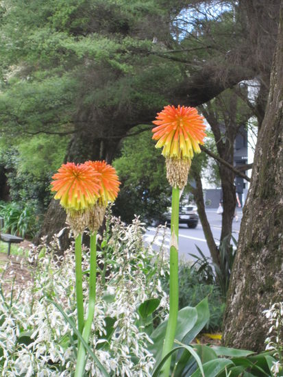 Doch auswandern? Wir sind bestimmt nicht die einzigen, die darüber auf dem Rückflug nachdenken...