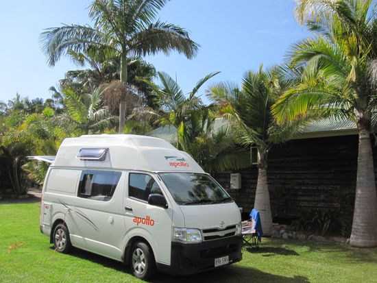 Bluey`s Beach Palms Oasis Caravan - der Name ist Programm