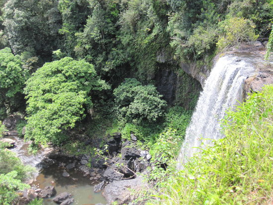 Wasserfall in den Atherton Tablelands