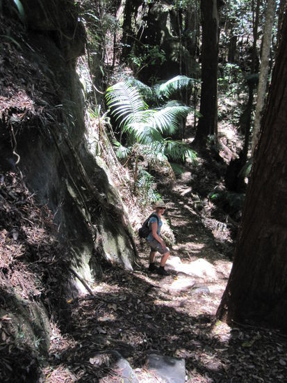 Ein Wanderparadies - allerdings sollte man immer mit offenen Augen und vorausschauend wandern (es soll ja giftige Schlangen und Spinnen geben und Hilfe ist weit...)