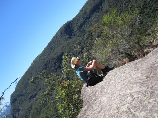 Ist das der Wahnsinn? Nein, nur der Lamington Nationalpark