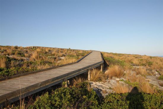 Ufem Weg zu oisne erschte Seeloie...