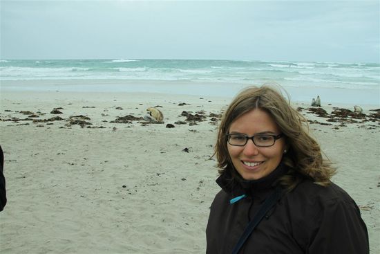 *froi* *froi* *froi*