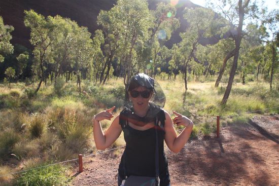 Die Fliegen sind hier eine echte Plage - Zum Glück gibt es das Fliegennetz 