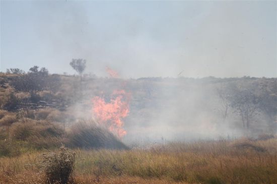 Kontrollierte kleine Buschfeuer werden entfacht, damit es zu mehr Wachstum kommt und grosse unkontrollierte Feuer verhindert werden.