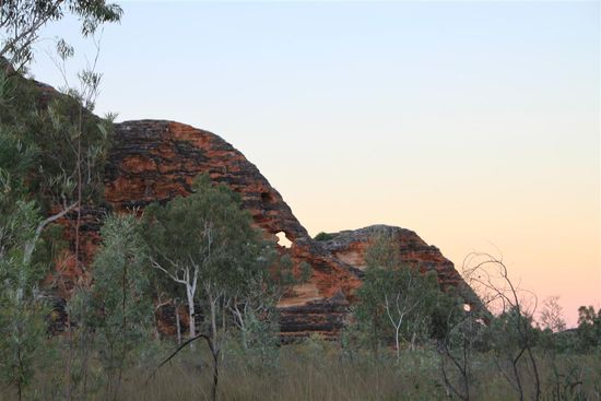 Elefanten in Australien!