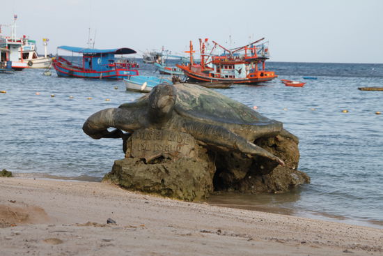 So eine Schildkröte haben wir um einiges kleiner aber dafür in echt in unserem 3. Tauchgang gesehen