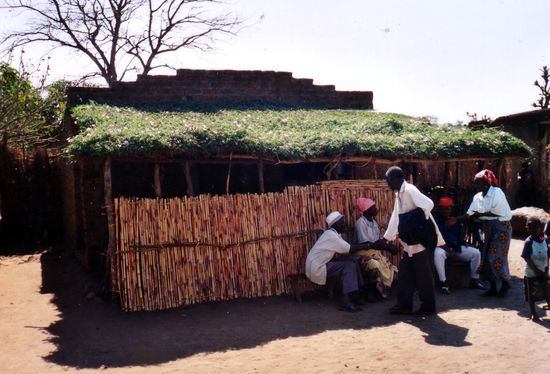 Begrüntes und blühendes Vordach eines Lehmziegelhauses