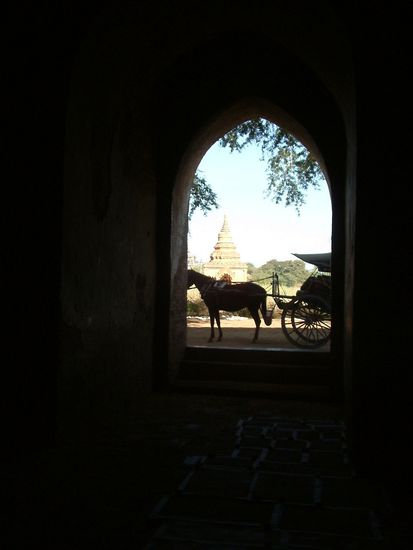 Mit der Pferdedrosche durch den Stupa-Wald.