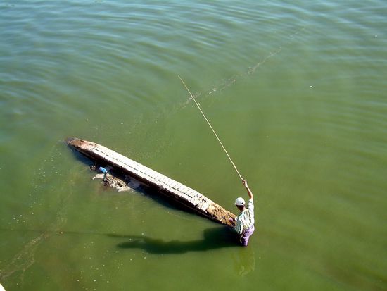 Ein Angler im seichten Gewässer.