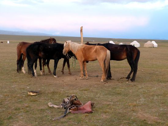 Am Ende eines langen Tages.