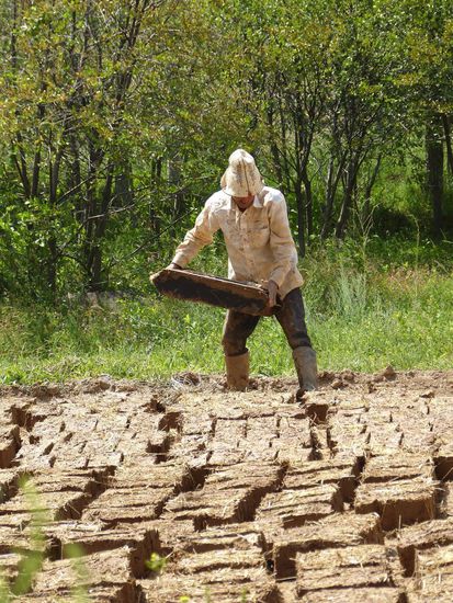 Beim Formen von Lehmziegeln.