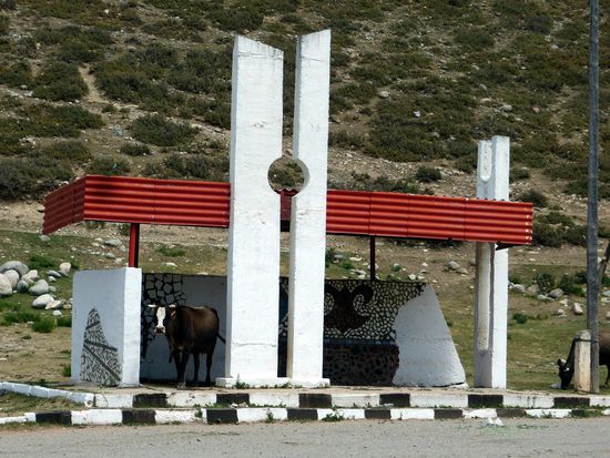 Wie für sie gemacht: eine Bushaltestelle.