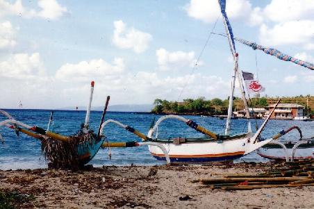 Boote mit Spinnenbeinen.