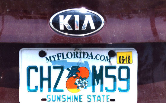 In den USA sind Nummernschilder nur am Heck angebracht. Das da ist unseres.