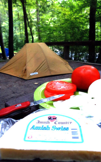 Ein Fall fürs Mikroskop: unser Zelt