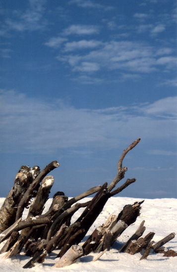 What you get is what you see.