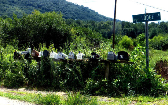 Irgendwo dahinter im Busch freuen Menschen sich auf ihre Post