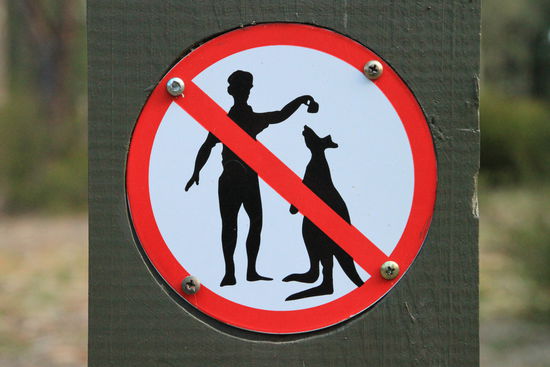 Leider durften unsere Kumpels aber net bei uns mitessen...