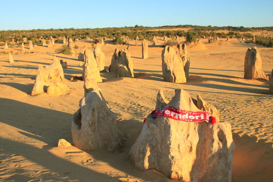 Ihr seht, wir nehmen unsere Aufgabe sehr ernst!