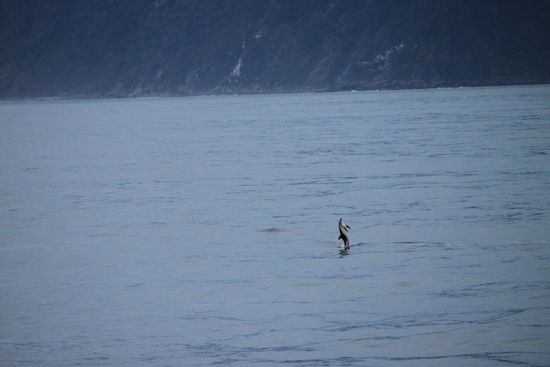 Ist das nicht cool?!