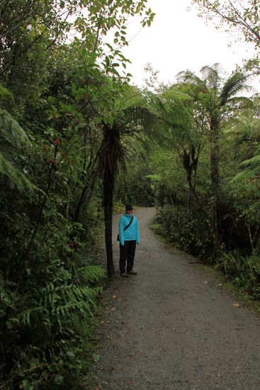 Gerade noch im Regenwald...