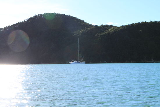 Anchorage Bucht: hier tummeln sich im Sommer am Tag wohl um die 100 Boote!!!